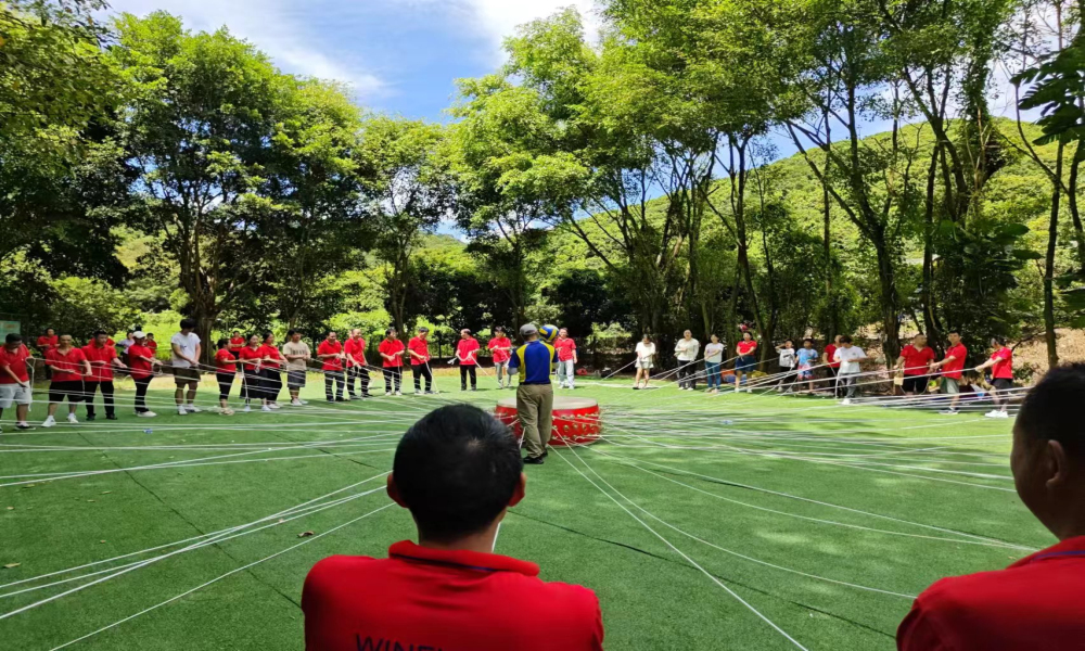 省钱了，如果东莞农家乐团建去幸福港生态园组织既省钱又省力